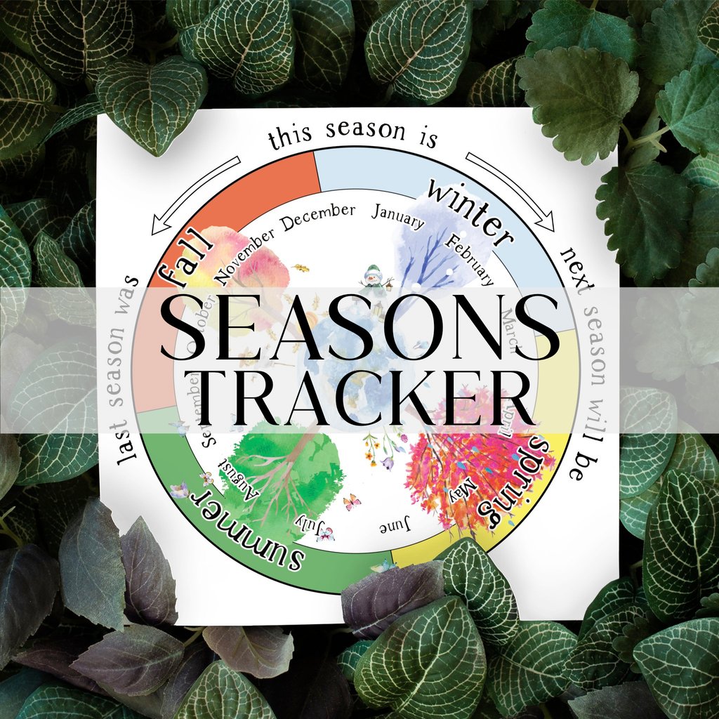 Visual Seasons Tracker for Children